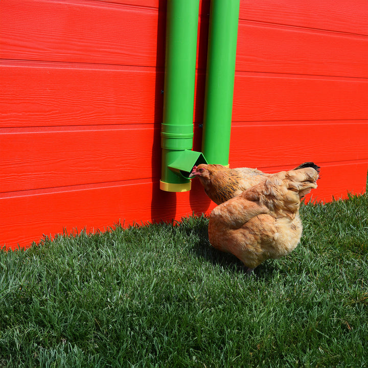 Rugged Ranch Hen Elevated 2 Gallon Poultry Waterer and Mounting System (Used) - VMInnovations