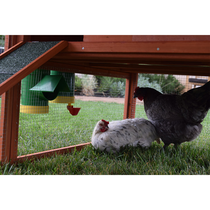 Rugged Ranch High End Hen Elevated 10 Pound Poultry Feeder and Mounting System - VMInnovations