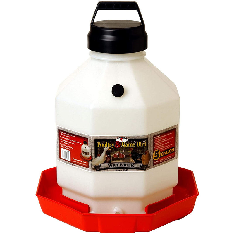 Little Giant PPF5 5 Gallon Automatic Poultry Waterer for Chickens, Red (2 Pack)