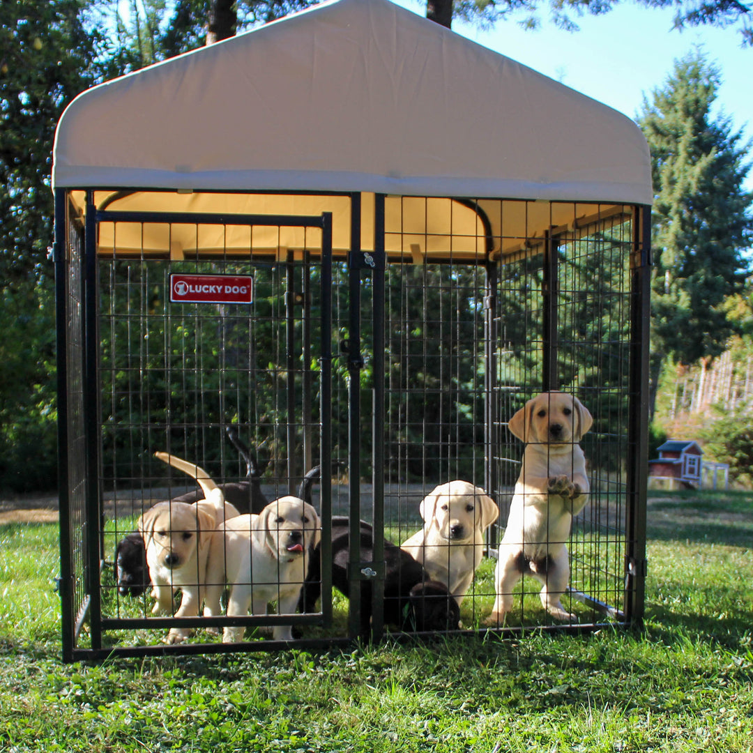 Lucky Dog STAY Series Studio Jr. Roofed Steel Frame Dog Kennel (For Parts) - VMInnovations