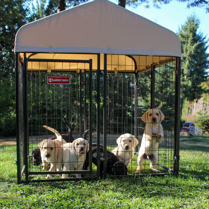 Lucky Dog STAY Series Studio Jr. Roofed Steel Frame Dog Kennel (For Parts) - VMInnovations