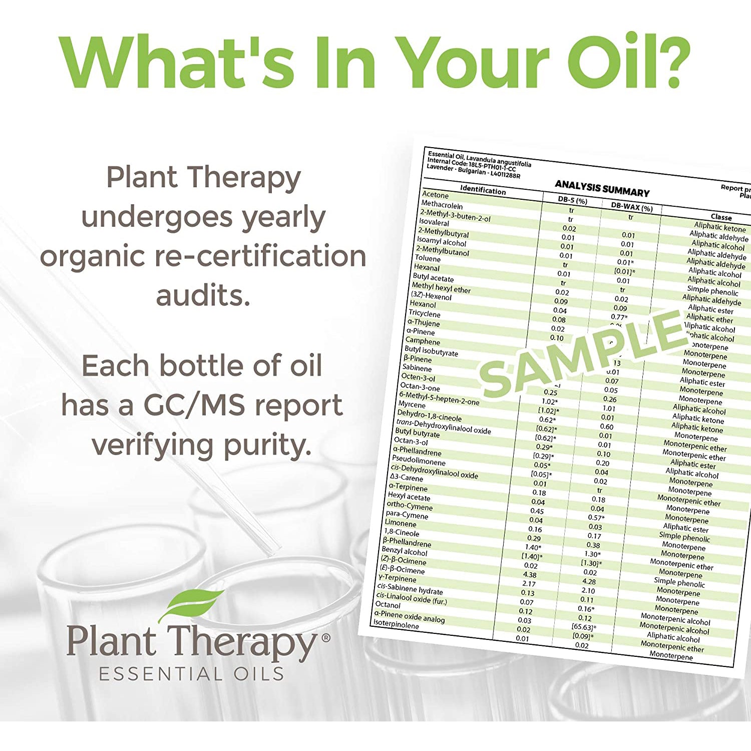 Plant Therapy Diffusible 30mL Complete Essential Oil, 1 Oz, Ylang Ylang (2 Pack) - VMInnovations