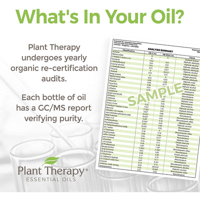 Plant Therapy Diffusible 30mL Complete Essential Oil, 1 Oz, Ylang Ylang (2 Pack) - VMInnovations