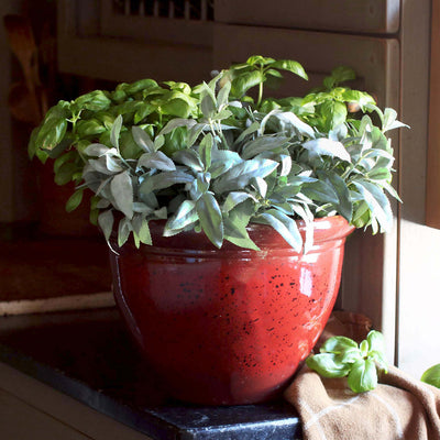 HC Companies Pizzazz Round Garden Planter Pot with Wakefield Soil Conditioner - VMInnovations