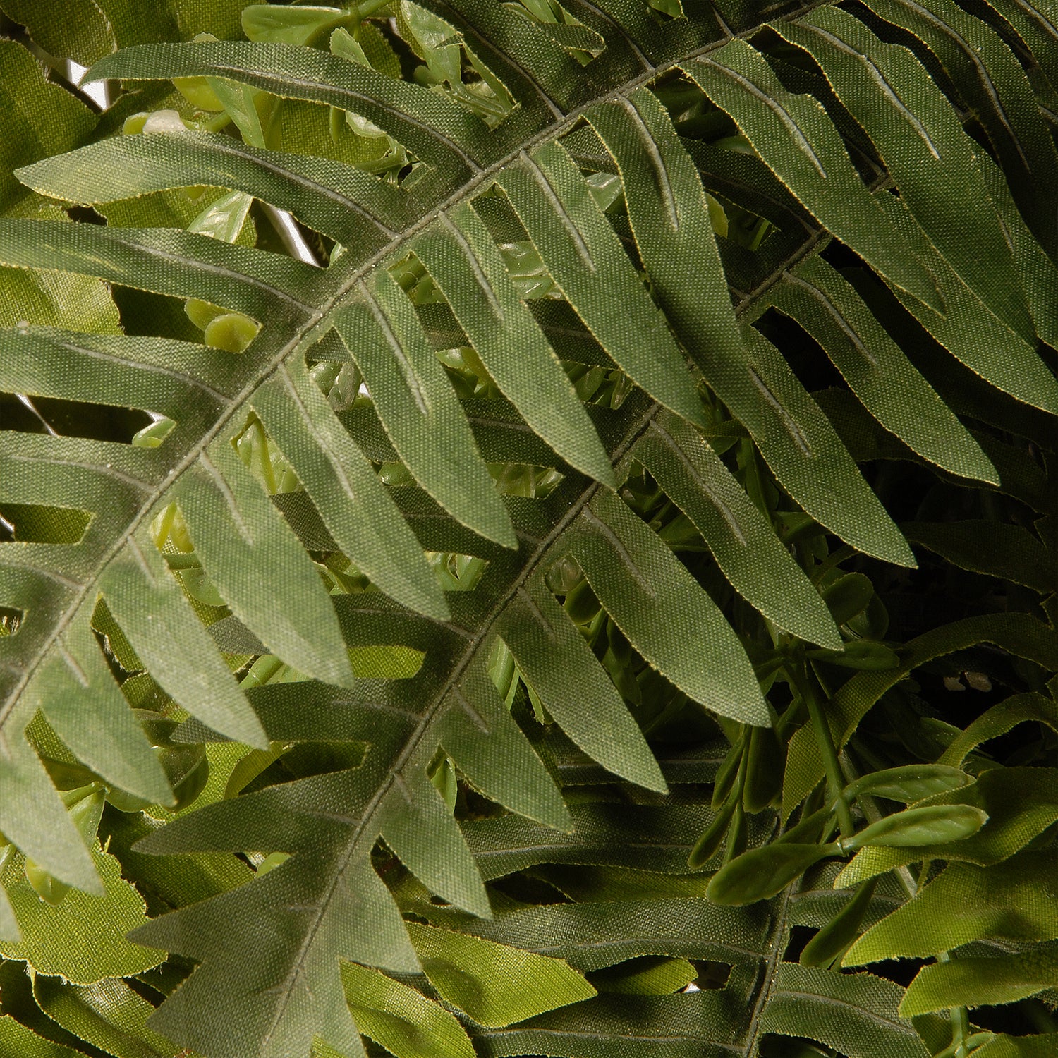 National Tree Company 35in Decorative Dia Fern Wreath, Unlit, Green (Open Box) - VMInnovations