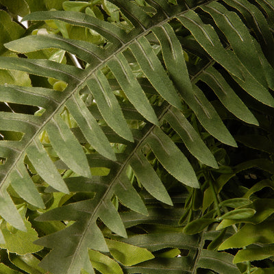 National Tree Company 35in Decorative Dia Fern Wreath, Unlit, Green (Open Box) - VMInnovations