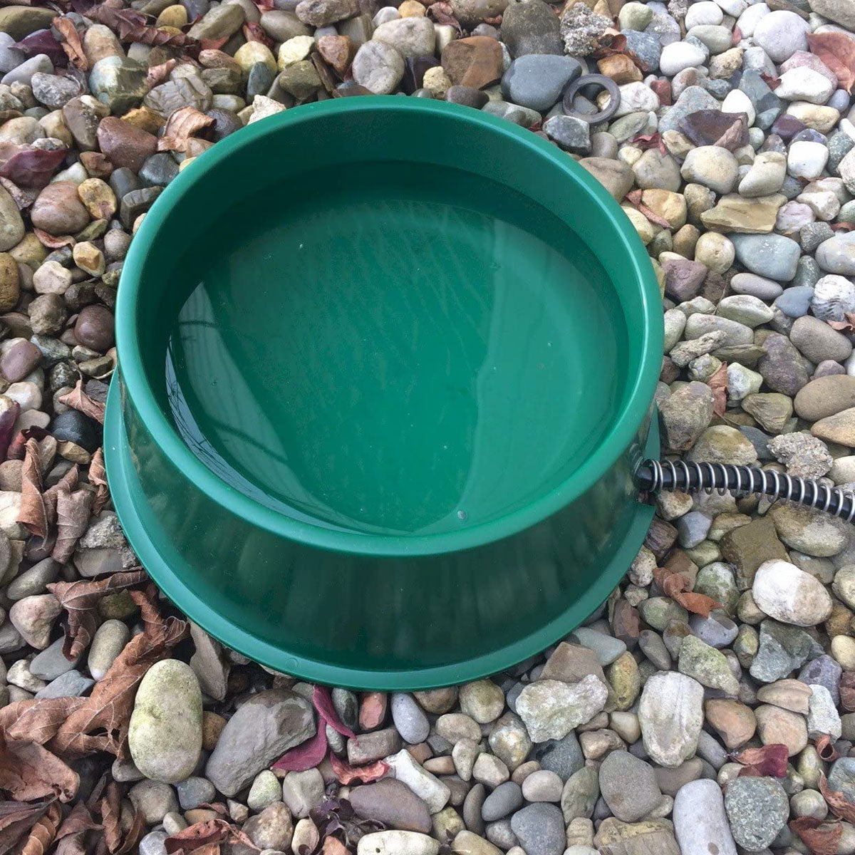 Farm Innovators QT-1 1 Quart Electric Heated Pet Water Bowl, 25 Watt (Used) - VMInnovations