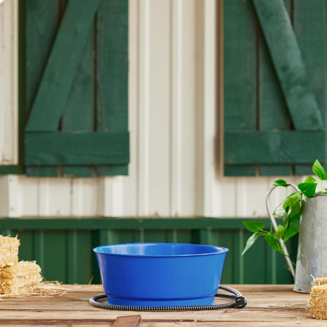 Farm Innovators R-19A 1.5 Gallon Electric Heated Pet Water Bowl, 60 Watt, Blue