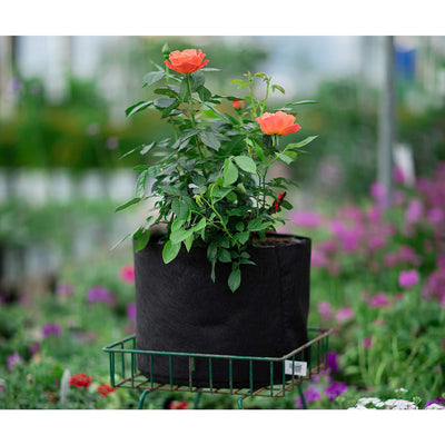 Smart Pot 30 Gallon Fabric Dirt Flower Pot Soft Sided Container, Black(Open Box)