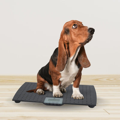 Redmon Large Rubber Precision Digital Pet Weight Scale with Carrier Tote Bag - VMInnovations