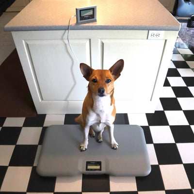 Redmon XL Pet Scale Platform with Remote Display & Storage Carry Bag(For Parts) - VMInnovations