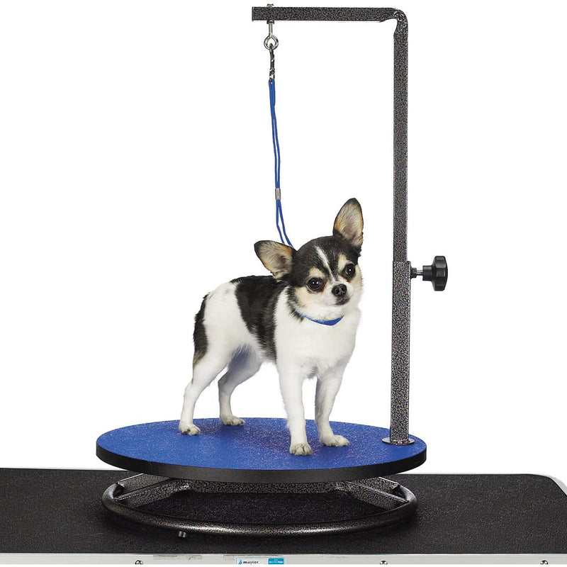 Master Equipment TP160 19 Steel Adjustable Small Pet Dog Grooming Table, Blue