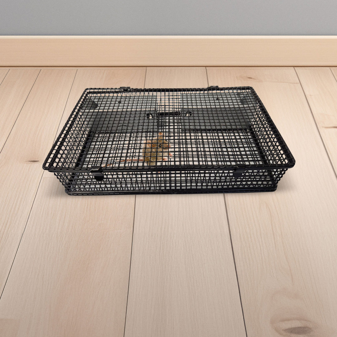 Rugged Ranch Products Mousinator Metal Wire Mouse Trap for Pest Control, Black - VMInnovations
