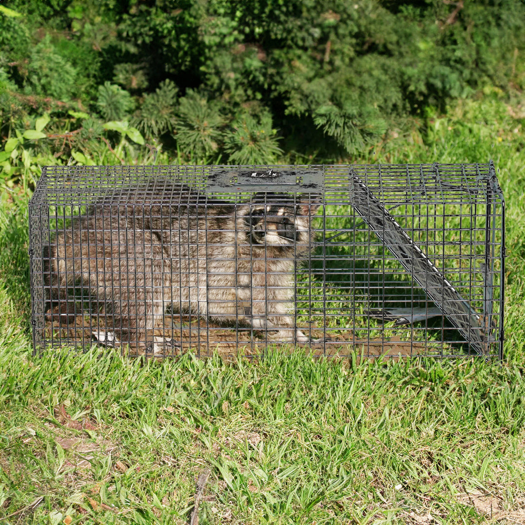 Rugged Ranch Live Animal Multi Catch 2pk Trap, 1 Large & 1 Small (Open Box) - VMInnovations