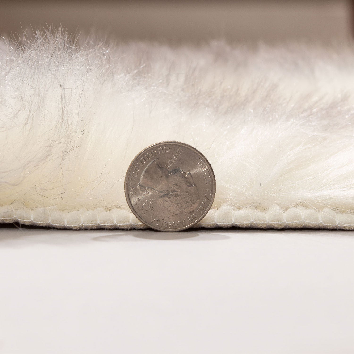Super Area Rugs Super Soft and Warm Faux Fur 4 x 6 Foot Decorative Shag Area Rug
