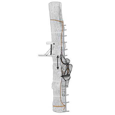 Muddy Safe-Line 30" Durable Nylon Outdoor Hunting & Tree Stand System, (9 Pack)