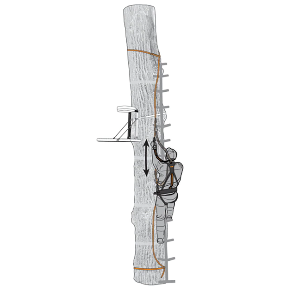 Muddy Safe-Line 30" Durable Nylon Outdoor Hunting & Tree Stand System, (9 Pack)