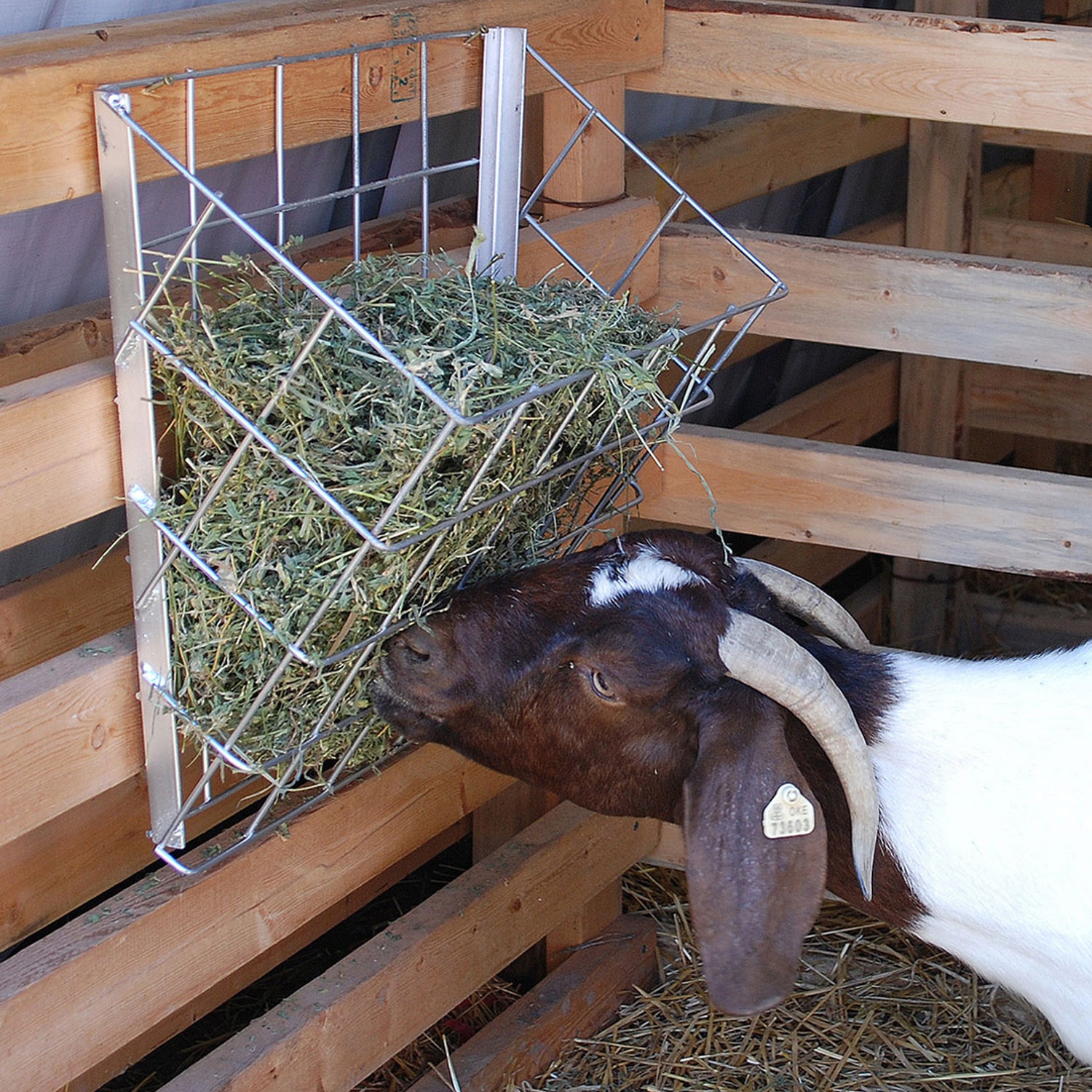 Rugged Ranch Rustproof Steel Sheep & Goat Livestock Hay Feeder Rack (Open Box) - VMInnovations
