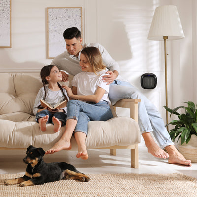 Good Housekeeping Wall-Mount Indoor Space Heater w/Thermostat, 750W, Black(Used) - VMInnovations