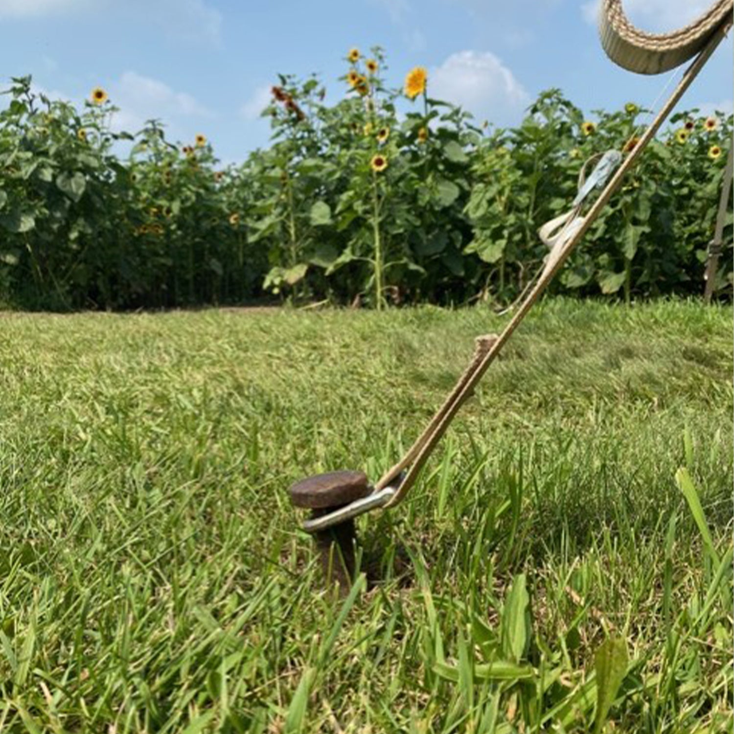 Stake Knight Tent Stake Protectors, Stop Trips, Damage, and Injuries; Pack of 12 - VMInnovations