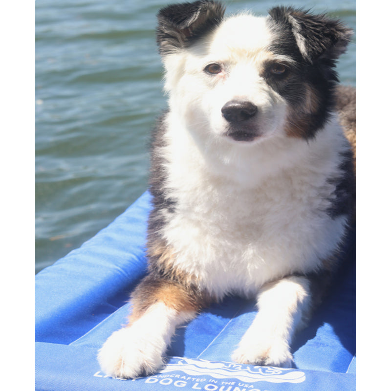 The Better Options Company Lazy Dog Pool & Lake Raft, Small, Blue (Open Box)