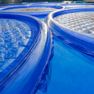 Solar Sun Rings UV Resistant Pool & Spa Heater Circular Solar Cover (6 Pack)