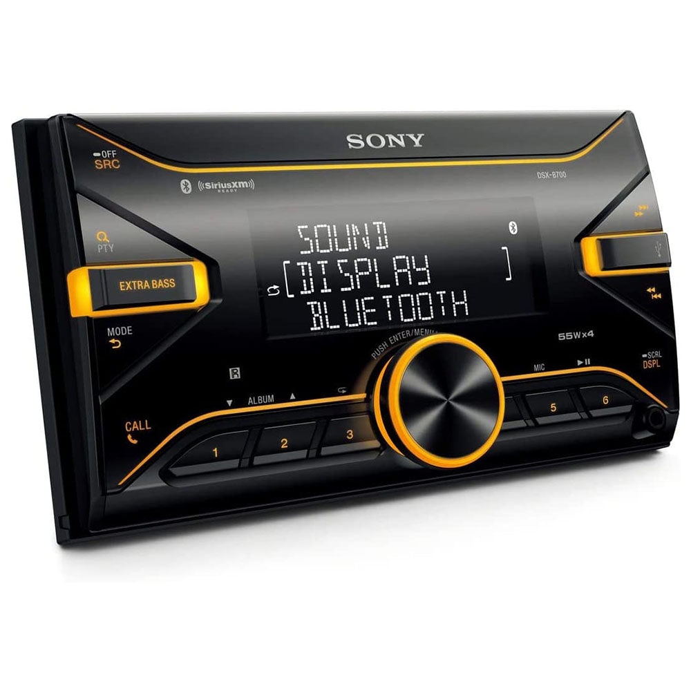 Sony DSXB700 Media Receiver with Dual Bluetooth Technology and USB Port, Black