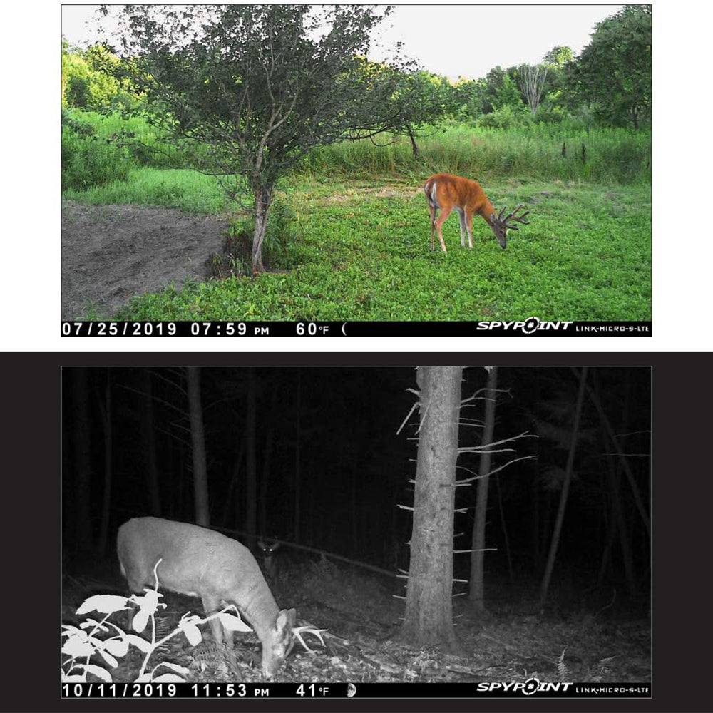 Spypoint Cellular LTE Hunting Game Trail Camera 80ft Detection w/ Smart App