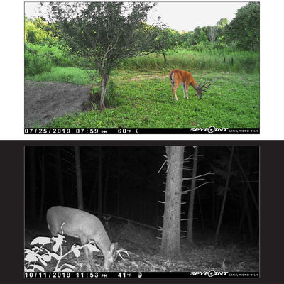 Spypoint Cellular LTE Hunting Game Trail Camera 80ft Detection w/ Smart App