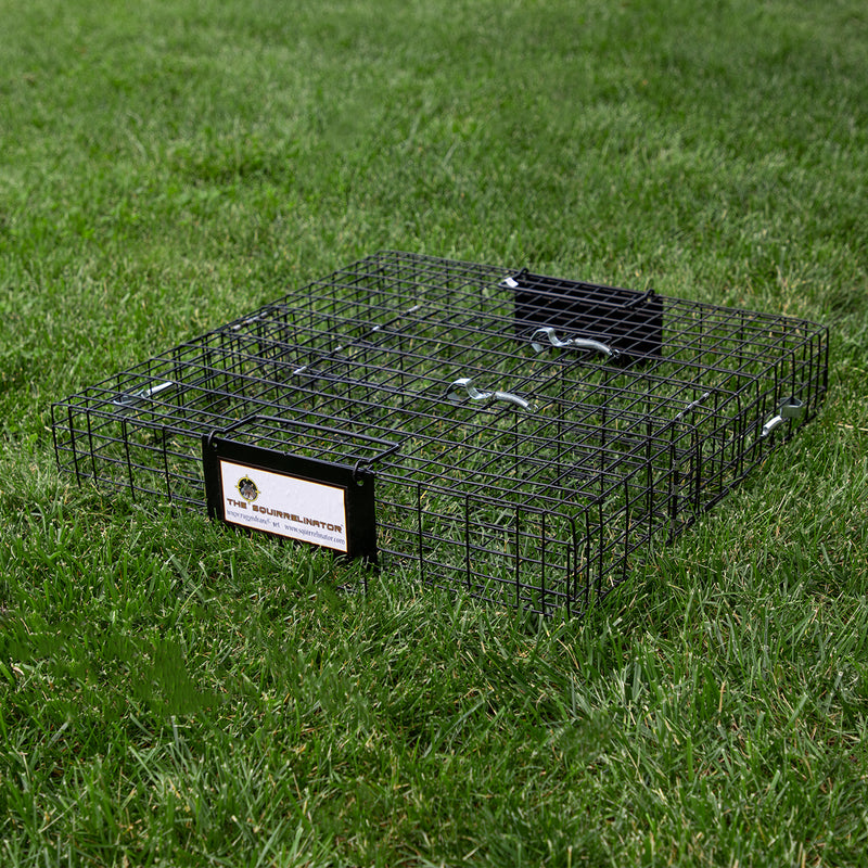 Rugged Ranch Squirrelinator Live Squirrel Chipmunk Metal 2 Door Cage (Open Box)