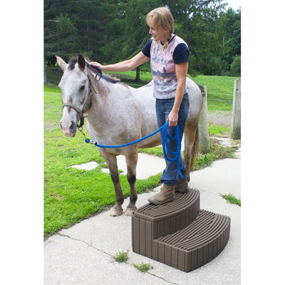 Good Ideas Stora Step Lightweight Plastic Outdoor & Indoor Storage Step, Oak - VMInnovations