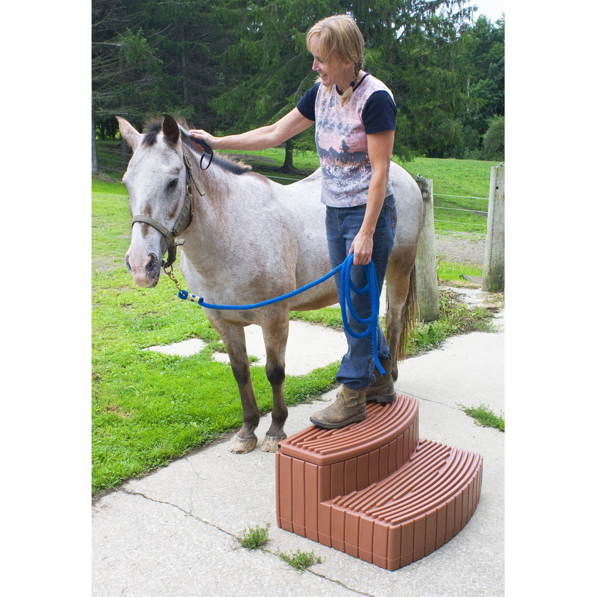 Good Ideas Sora Steps Outdoor & Indoor Storage Step, Terra Cotta (Open Box)