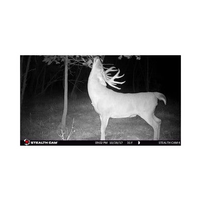 Stealth Cam G26NG Pro 12MP Camera w/SDs & Batts (Certified Refurbished) (6 Pack) - VMInnovations