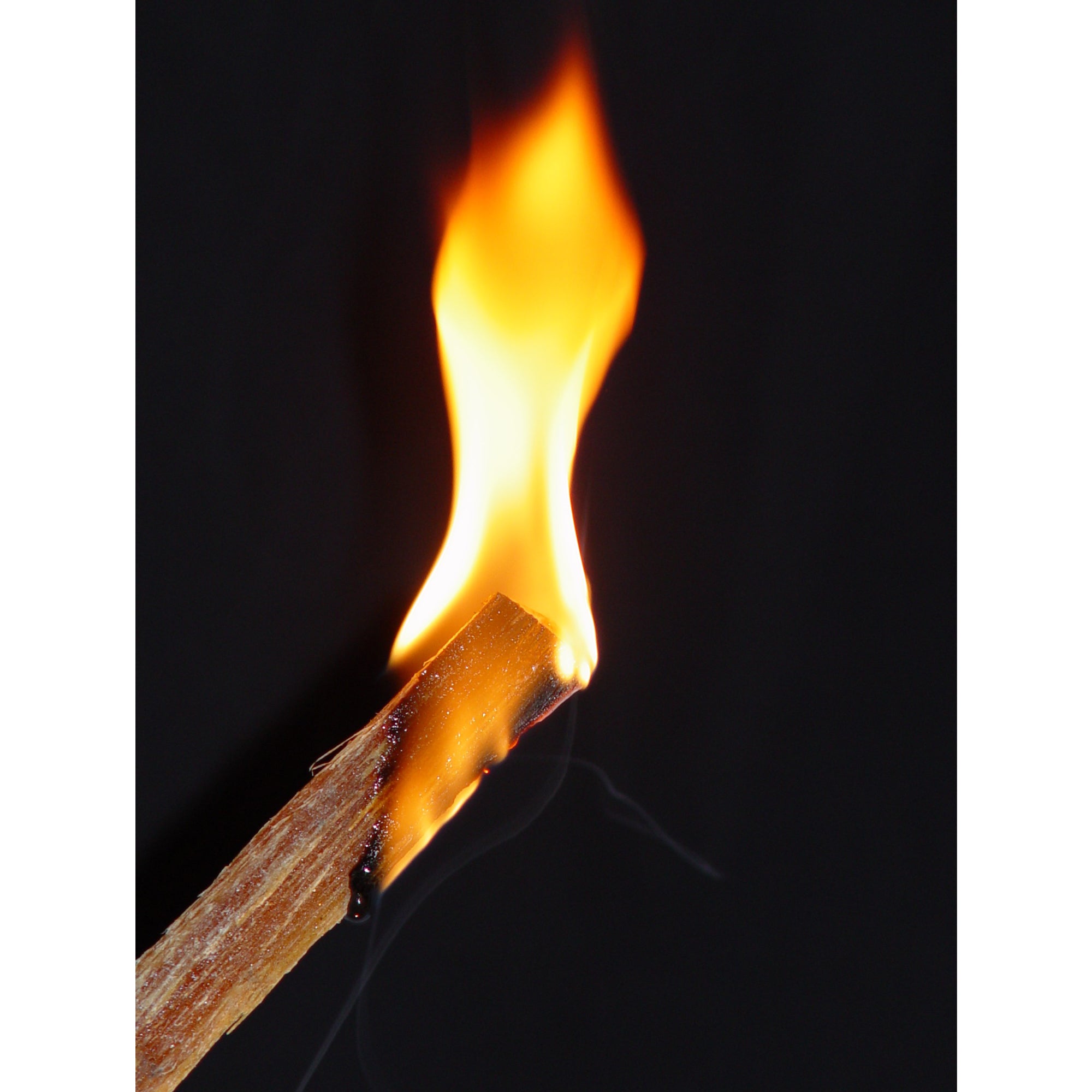Betterwood Products Natural Pine Hand Split Fatwood 50 Pound (3 Pack)