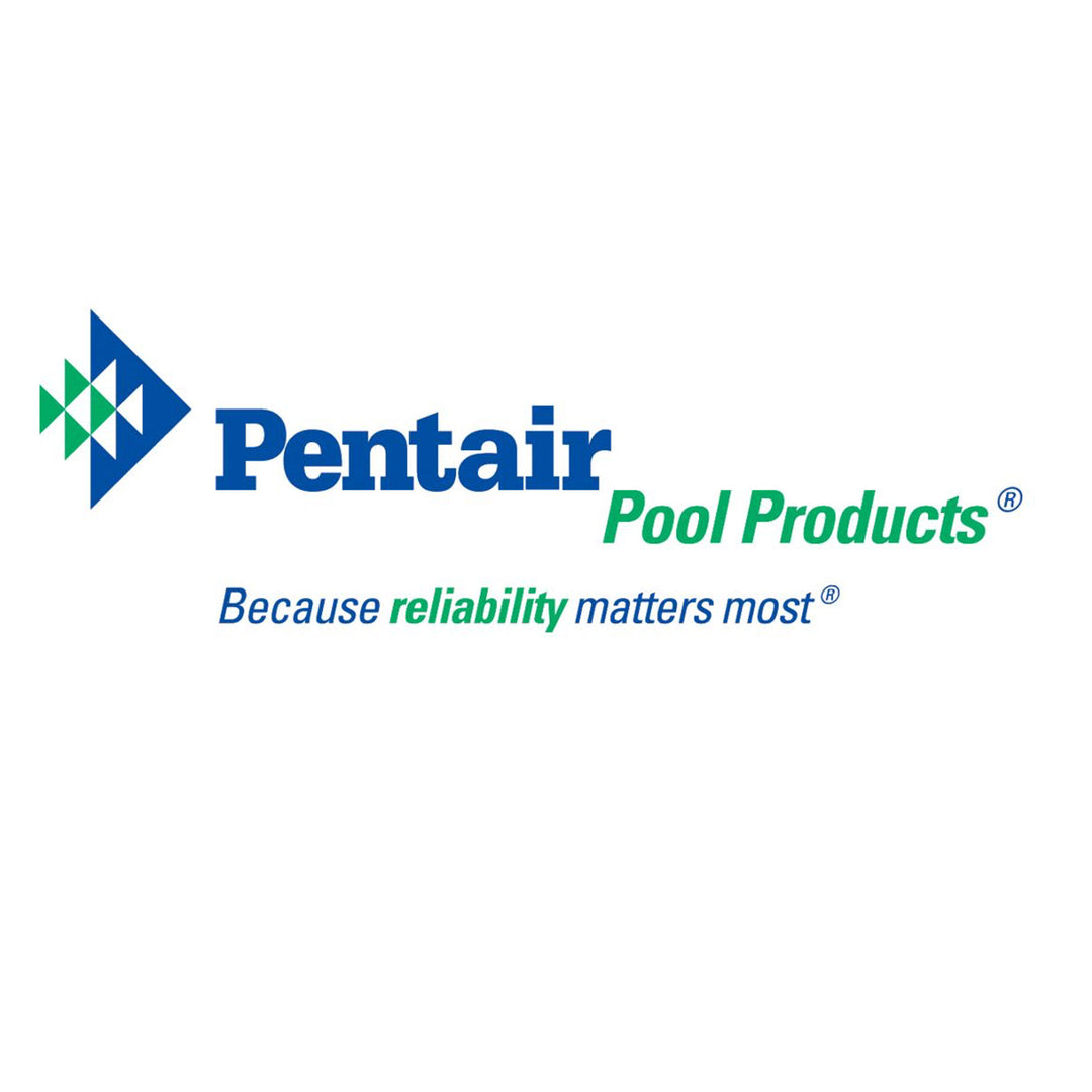 Pentair Pool In-ground Challenger Pump Strainer Pot Replacement (Open Box)