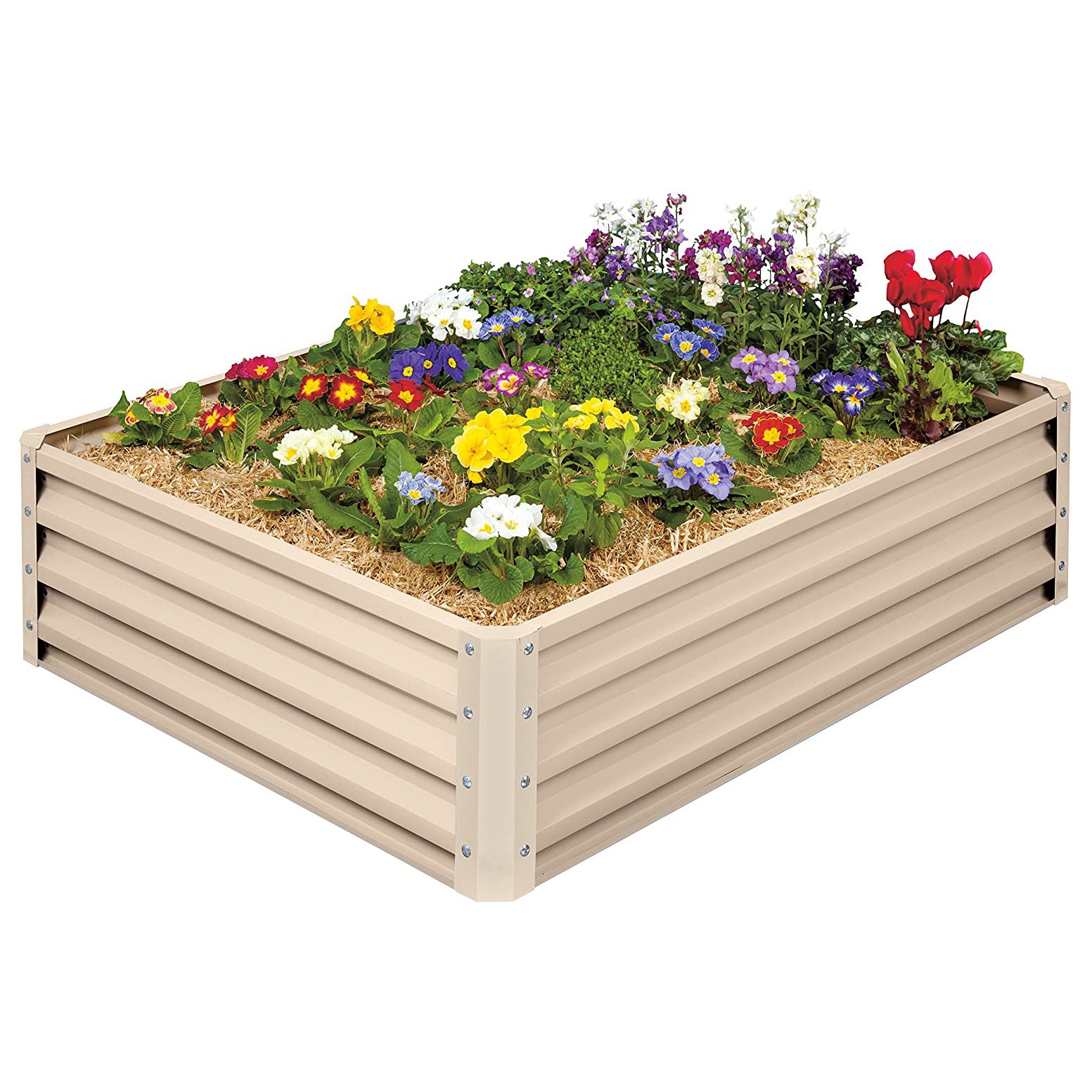 Stratco 4x3x1ft Raised Garden Bed & Brut Worm Castings Soil Builder, 30lb Bag - VMInnovations