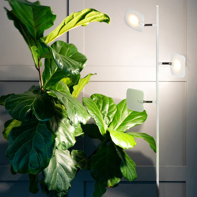 Brightech Tree LED Spotlight Bright 3 Light Floor Lamp Pole, White (Open Box)