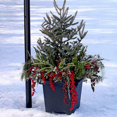 HC Companies 24 Inch Terrazzo Square Garden Tree Planter Pot Container (Used)
