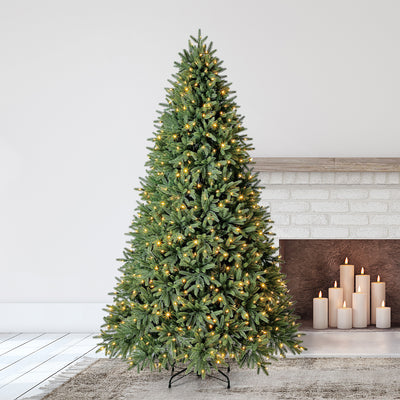 Evergreen Classics 7.5 Foot Fraser Fir Christmas Tree, 700 LEDs (Used)