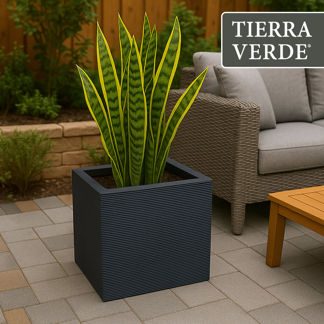 Tierra Verde Citadel Horizon Self Watering Square Planter, 13.5"W x 14"H, Black