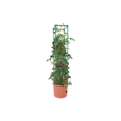 Hydrofarm Tomato Barrel Garden Planting System w/ 4 Ft Trellis Tower (Open Box)