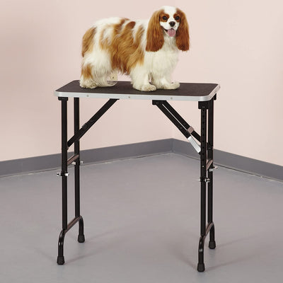 Master Equipment 48 Inch Folding Dog Cat Small Animal Grooming Table (Open Box)