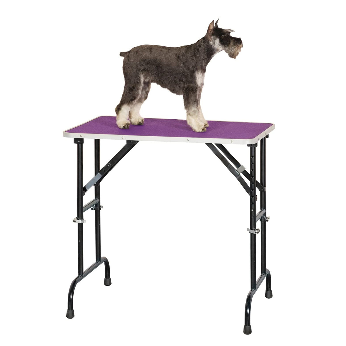 Master Equipment Height Pet Grooming Table with Nonslip Vinyl Surface (Used)