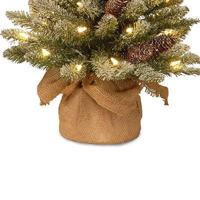 National Tree Company 2 Ft Artificial Prelit Christmas Tree with Cloth Bag Base