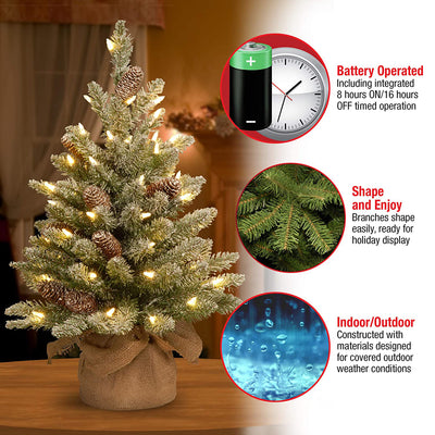 National Tree Company 2 Ft Artificial Prelit Christmas Tree with Cloth Bag Base