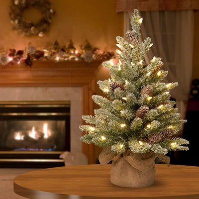 National Tree Company 2 Ft Artificial Prelit Christmas Tree with Cloth Bag Base