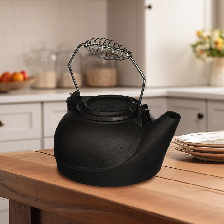 Panacea Cast Iron Stove Kettle Humidifier w/ Chrome Handle, Black (Open Box)