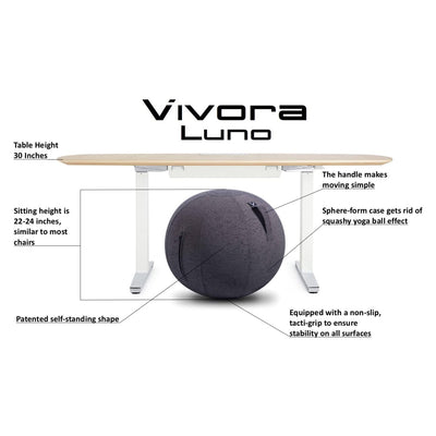 Vivora Luno Standard Felt Sitting Ball with Handle for Home and Office, Charcoal