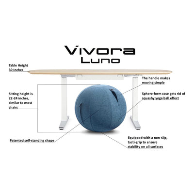 Vivora Luno Standard Felt Sitting Ball with Handle for Home and Office, Pacific