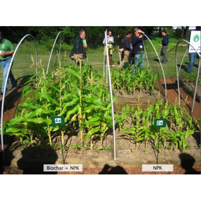 The HC Companies Garden Flower Planter with Wakefield 1 Gal Soil Conditioner - VMInnovations